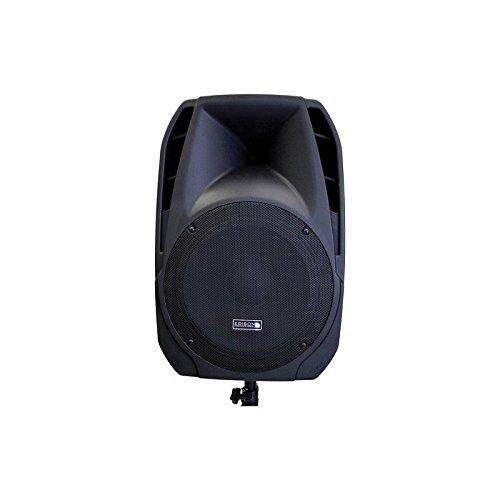 Edison Professional M2000 Plus 500 RMS 2000W Peak 15" High Power PA